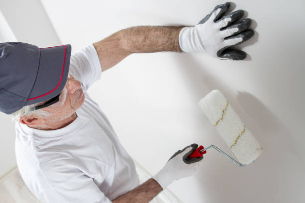 Best Real Estate Mold Inspection  in New Holstein, WI