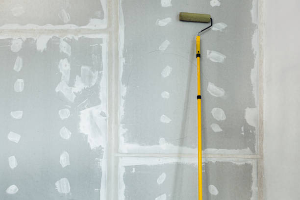 Trusted New Holstein, WI Mold Removal Experts