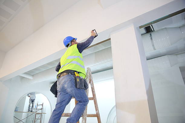 Best Mold Removal for HVAC Installations  in New Holstein, WI